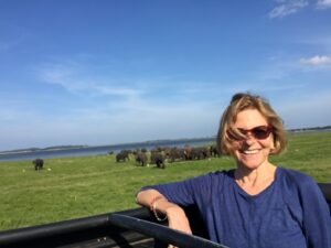 Diana R. Chambers at an elephant safari